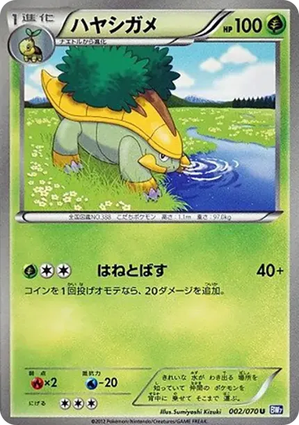 ハヤシガメ