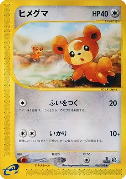ヒメグマ