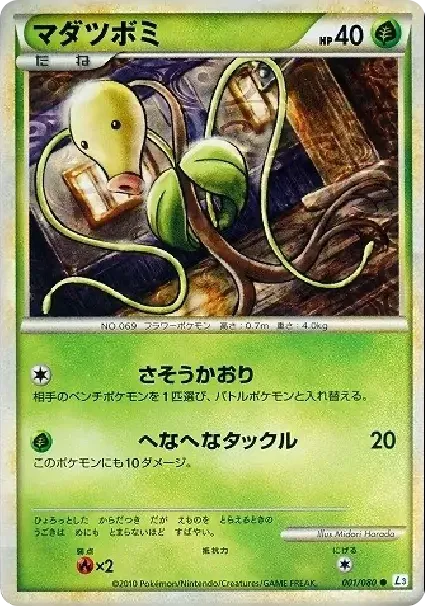 マダツボミ