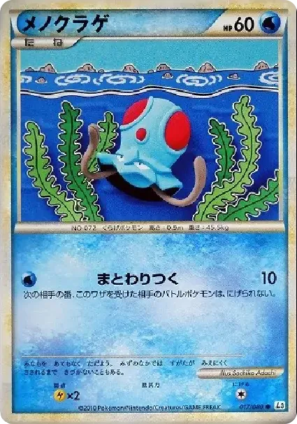 メノクラゲ