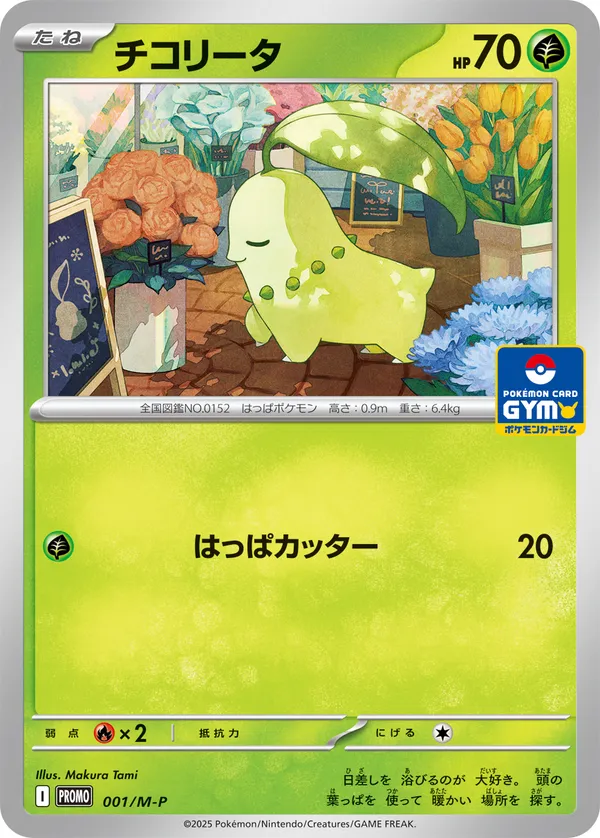 チコリータ