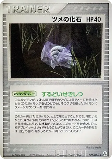 爪の化石