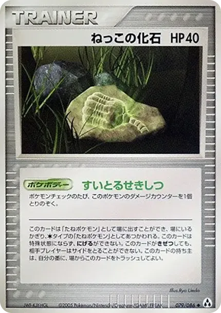 根の化石
