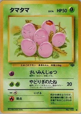 タマタマ
