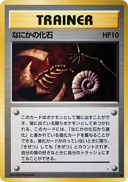 なにかの化石