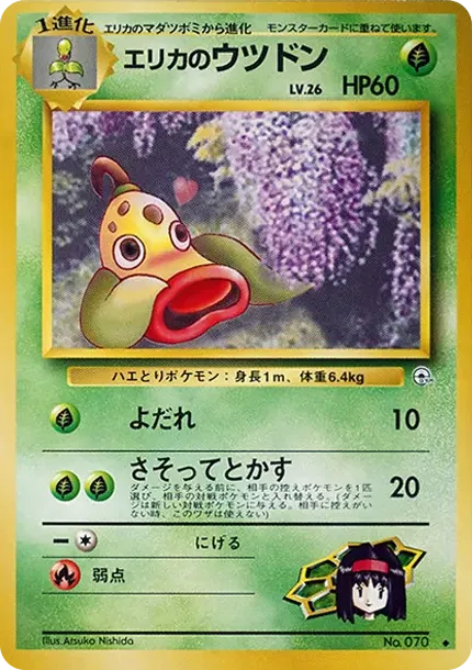 エリカのウツドンLV.26