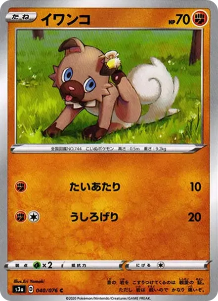 イワンコ