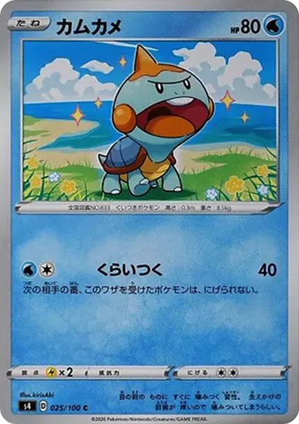 カムカメ
