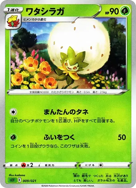 ワタシラガ