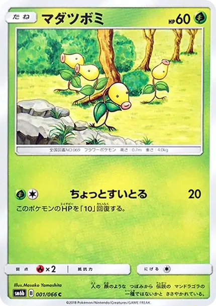 マダツボミ