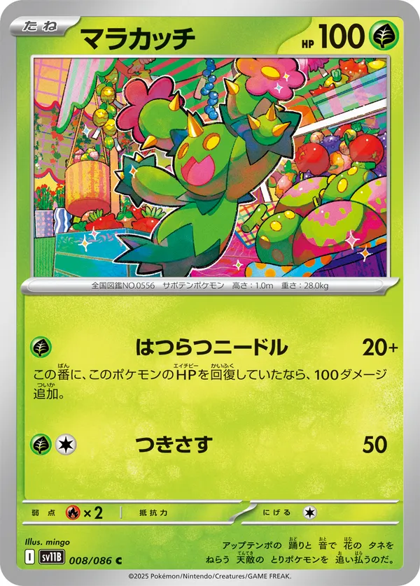 マラカッチ