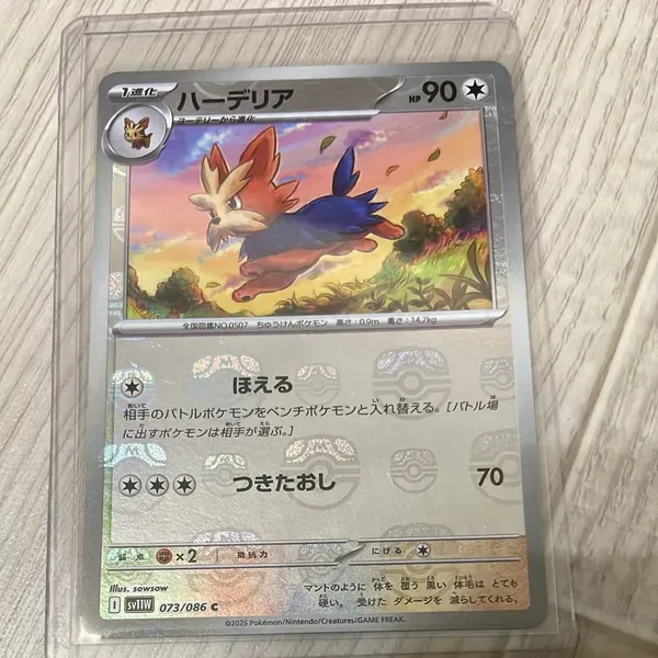 ハーデリア