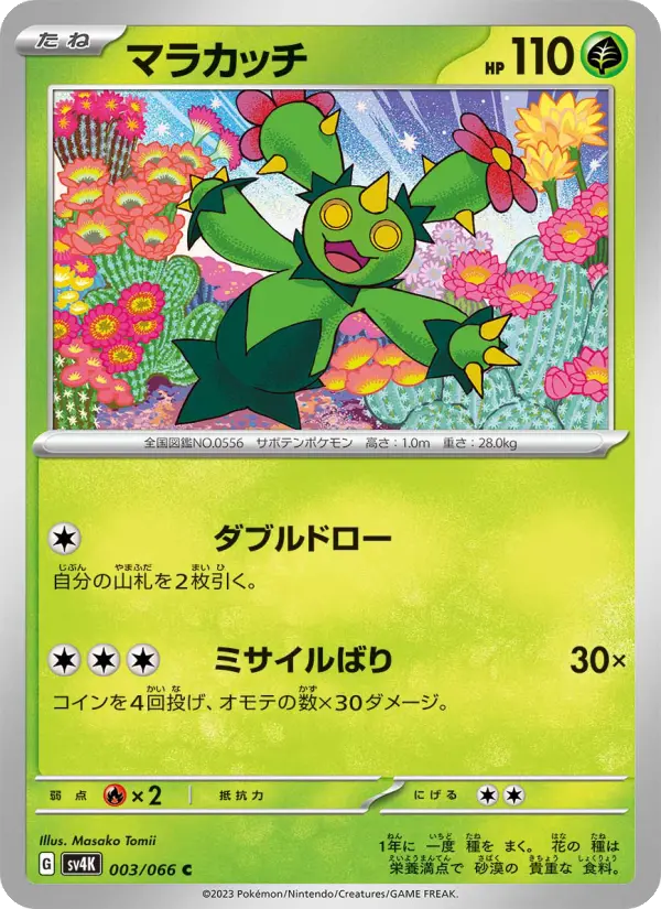 マラカッチ