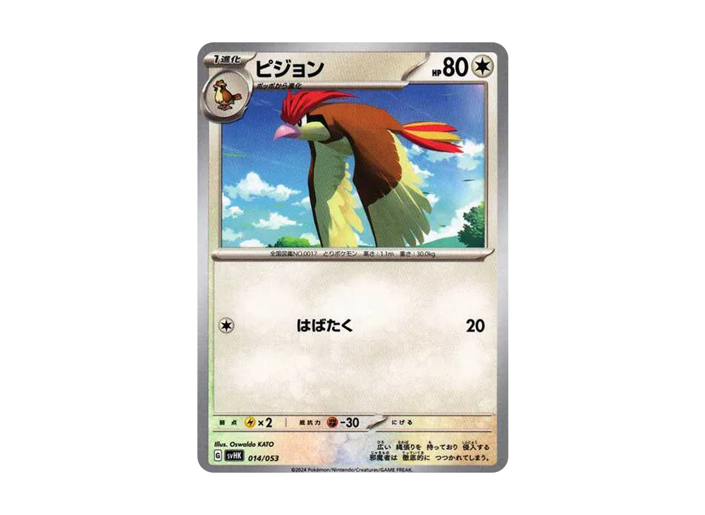 ピジョン