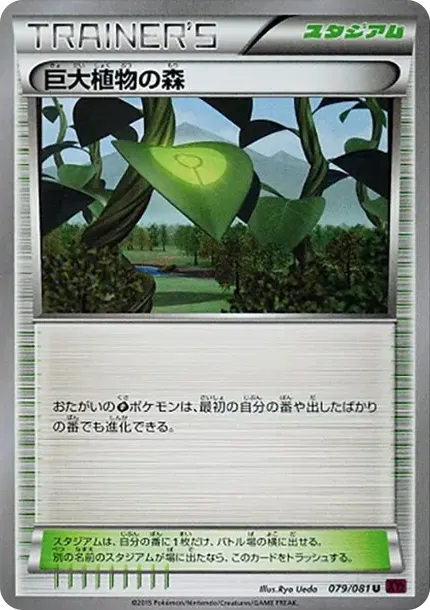 巨大植物の森