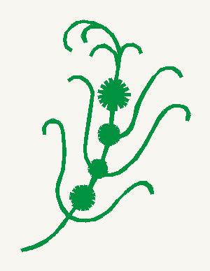 Botanical & Mini Motif No.11 107 | Prism Embroidery 777